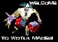 Ayden IV Fire mage PvP 80