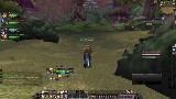 World of Warcraft Level 24 Prot Pally Bgs