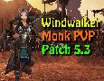 monk pvp 5.3 - warsong gulch with skype