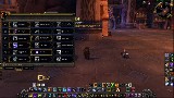 World of Warcraft : MoP - Survival Hunter PvE Guide 5.3/5.4