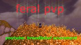some feral pvp footage