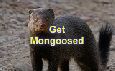 Get Mongoosed - Survival Hunter 1vNs