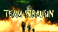 Civil War: Vote for Team Strausin