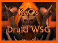 KaOs WSG Druid, Patch 1.12