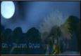 Oh yeah! - Feral Hybrid Druid PVP