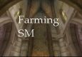 How to Farm SM as a Mage