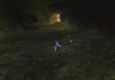 Rogue BRD Solo Run