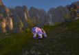 Alcina of Ahn'Qiraj goes PvP!