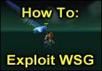 How To Exploit WSG