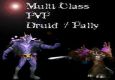 Druid / Paladin Multi-Class PvP