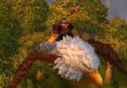 Melfir 29 hunter PvP movie
