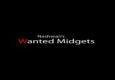 Wanted Midgets - 2vs2 qualification
