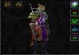 49 Twink Druid PvP