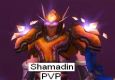 Shamadin PVP Enh Shaman / Shockadin