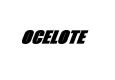 Ocelote Night Elf Gladiator