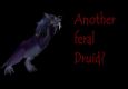 Another Feral Druid