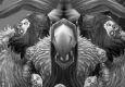Fawsee the Moonkin 1 Duels