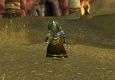 Destreck LvL 48-50 Mage
