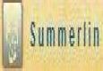 Summerlin 2300+ 5v5 Stormstrike BG Priest POV season 3