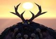 Tralice Moonkin PvP