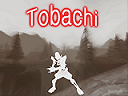 Tobachi - Elemental Mage PvP