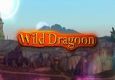 Wild Dragoon intro