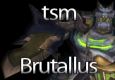 TSM Vs. Brutallus - Fury warrior POV