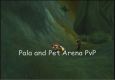 Paladin & Pet Arena PvP