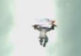 LoLSteppin' Me Bootz