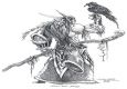 Exavitor - Feral Druid PvP
