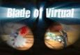 CWoW - Blade of Virtual : Subtlety Rogue & Feral Druid 2v2