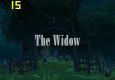 The Widow - A Horror Story