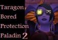 Taragon: Bored Protection Paladin 2